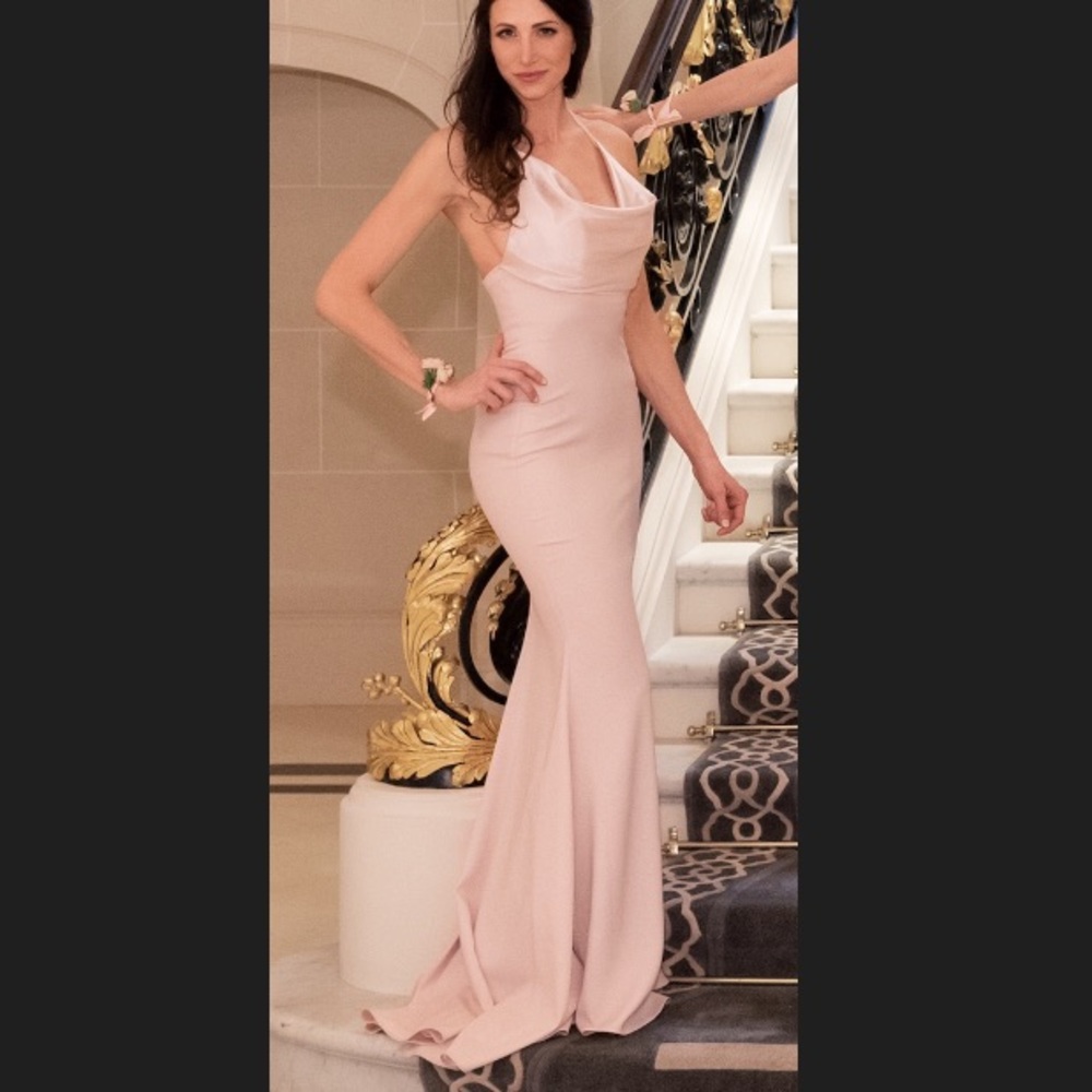 Portia and Scarlet Gown Blush, Size 2 Model PS5024